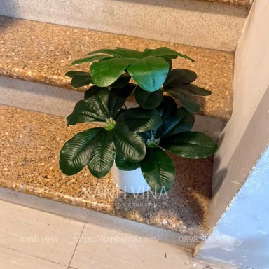 Chậu cây giả để bàn kim ngân lượng